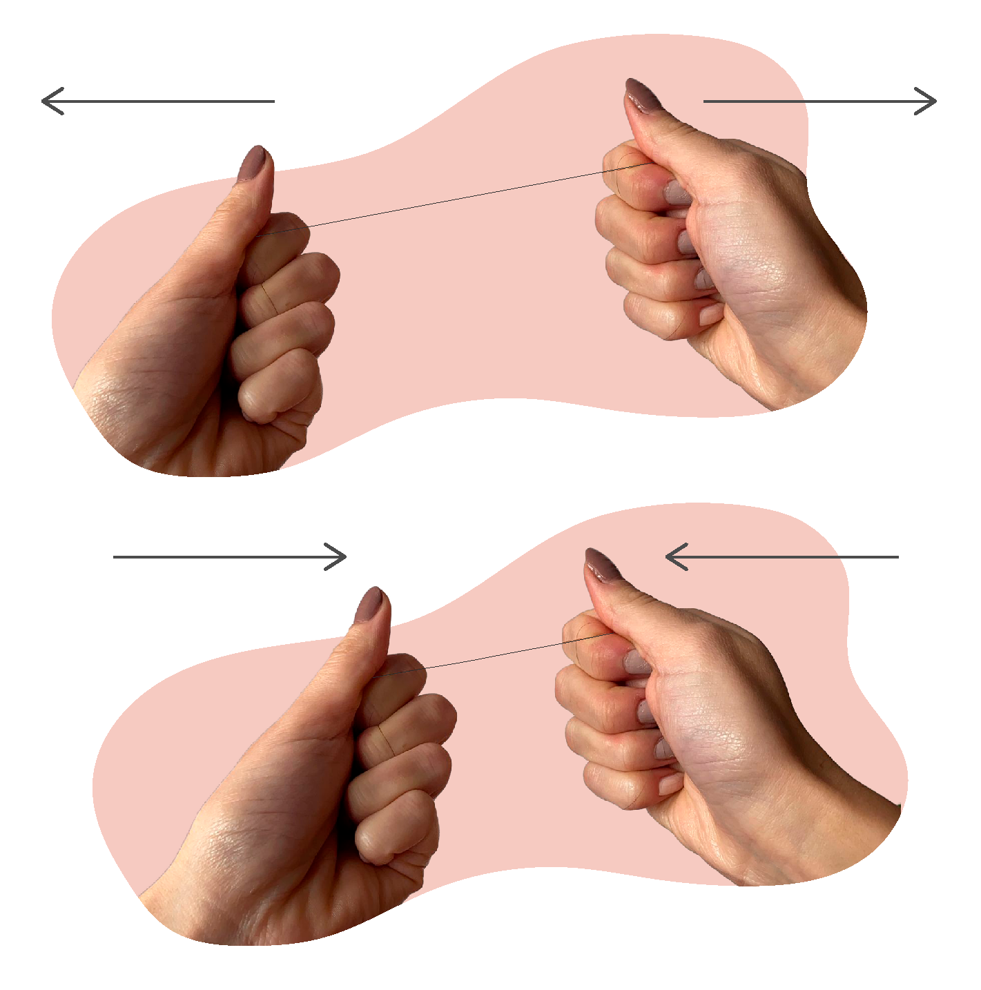 elasticidad-normal