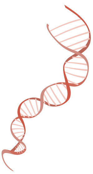 genetica