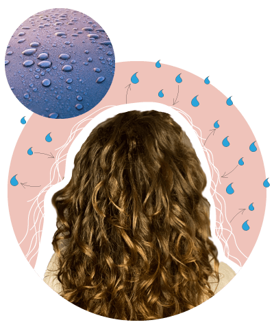 frizz_8-min Frizz